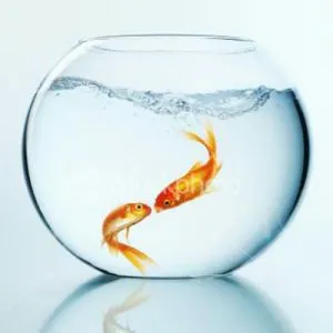 سال نو مبارک